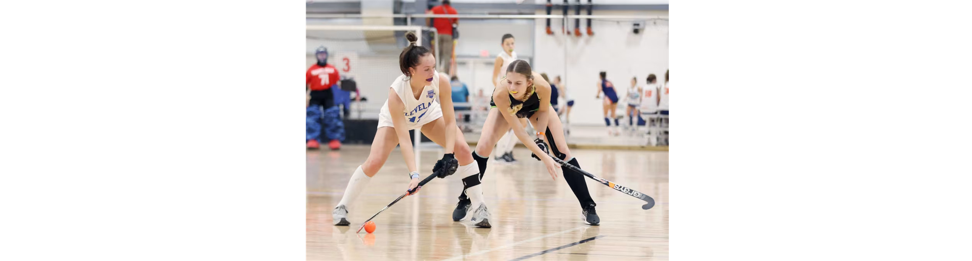 2024 Winter Indoor Field Hockey Registration